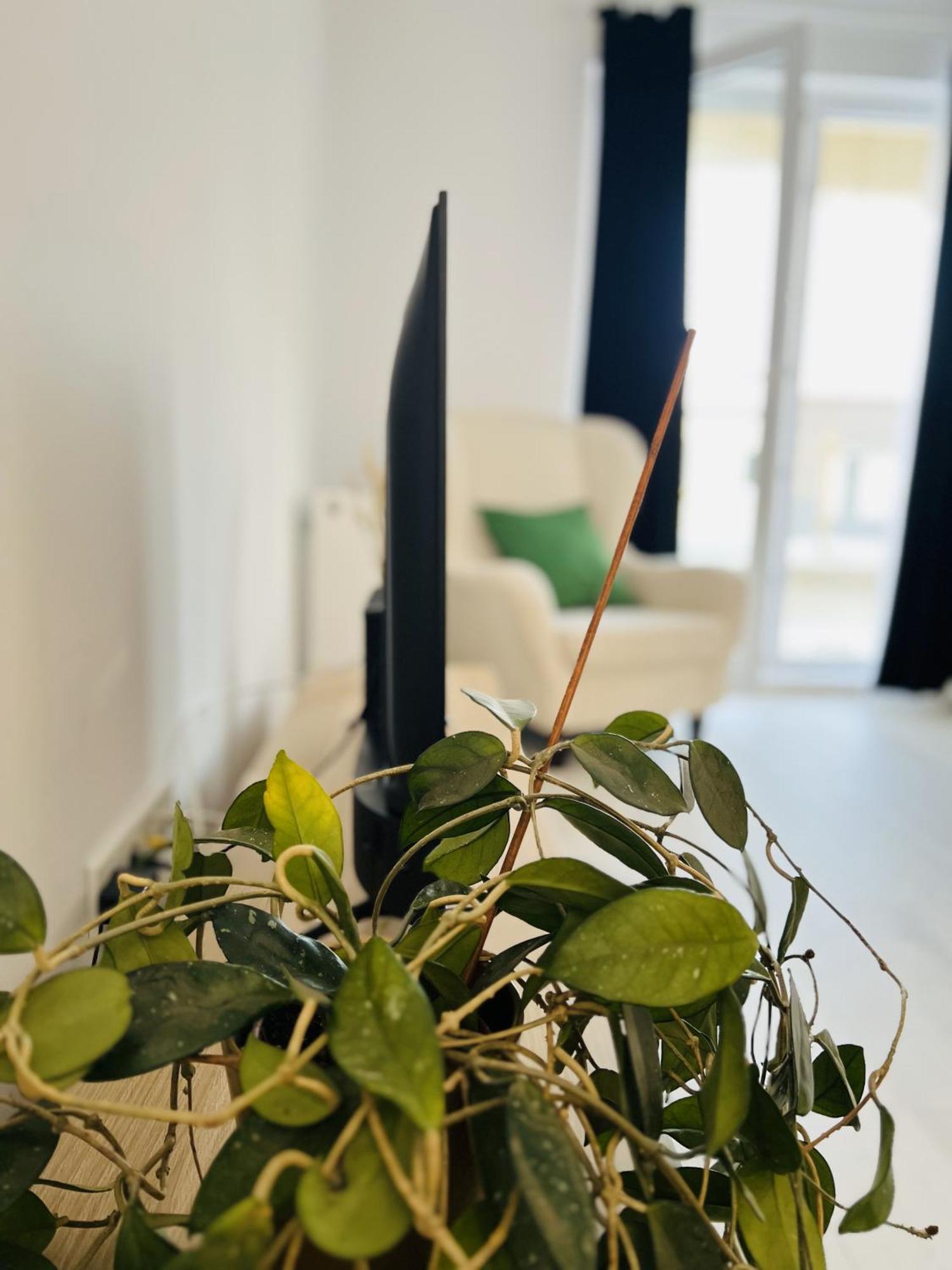 شقة Airport Gardens Loft أوتوبين المظهر الخارجي الصورة